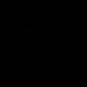 Meet your Posher, Andre